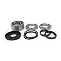 EPI Performance Differential Bearing and Seal Kit Polaris Models