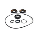 Brute Force 650 / 750 Rear Differential Seal Kit - WE290105