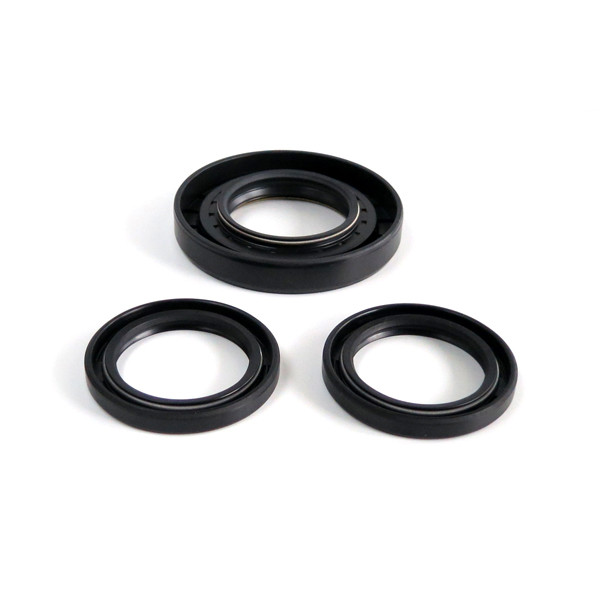 Foreman 500 Rear Differential Seal Kit