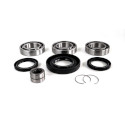 Foreman/Rancher Rear Differential Bearing and Seal Kit - WE290128