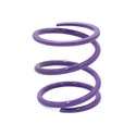EPI Primary Clutch Spring Purple - 2024-25 Polaris RZR XP 1000 | Xpedition XP/ADV - POLHD2