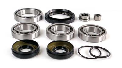 EPI Performance Foreman Front Differential Bearing and Seal Kit - WE290127